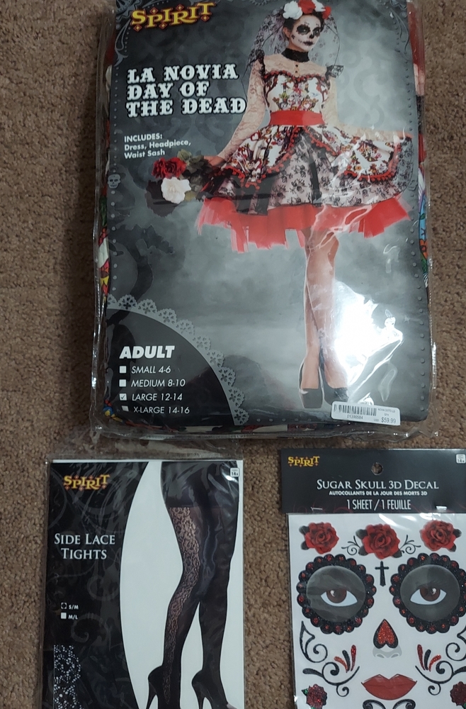 Ladies costume